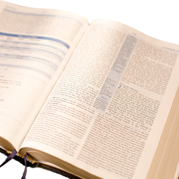 Bookstore : Religion : Andrews Study Bible (NKJV) Premium Fine