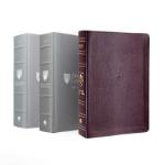 Andrews Bible Commentary and Andrews Study Bible (NKJV) Genuine Leather Burgundy