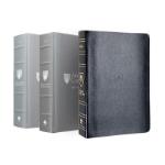 Andrews Bible Commentary and Andrews Study Bible (NKJV)